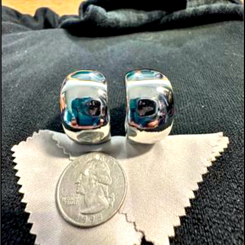 Brand new never used in plastic DSMK 1” thick hoop earrings stainless steel